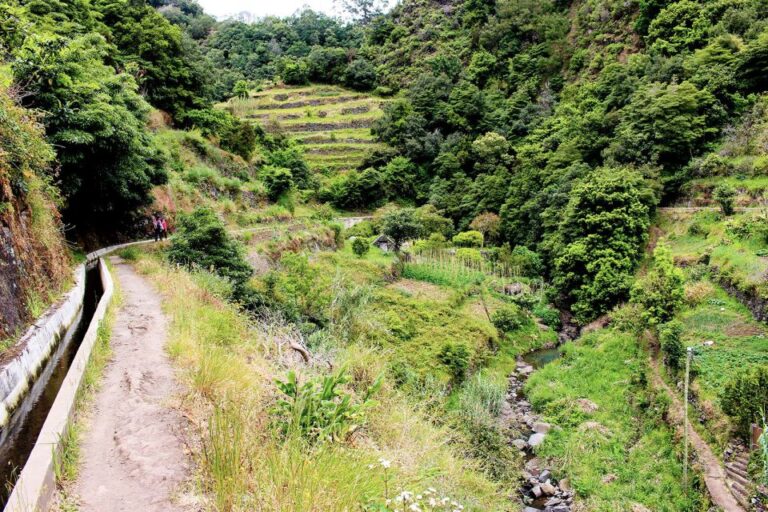 Marocós / Mimosa Valley Levada Walk Scenic Landscapes And Vistas