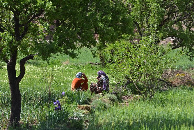 Marrakech : 1-Day Trip to the Ourika Valley - Pickup and Drop-off Details