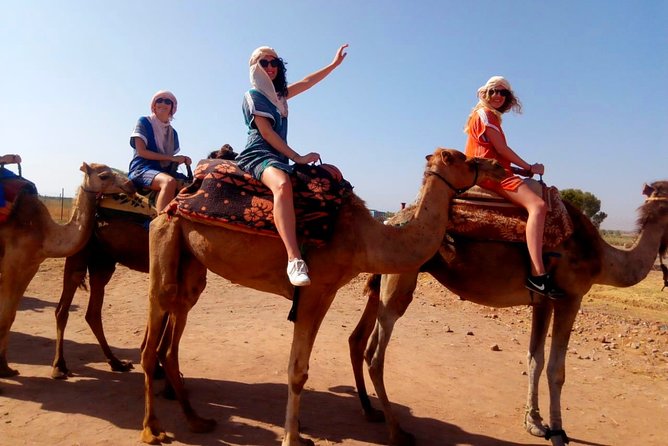 Marrakech Desert Sunset With Camel Ride - Overview of the Experience