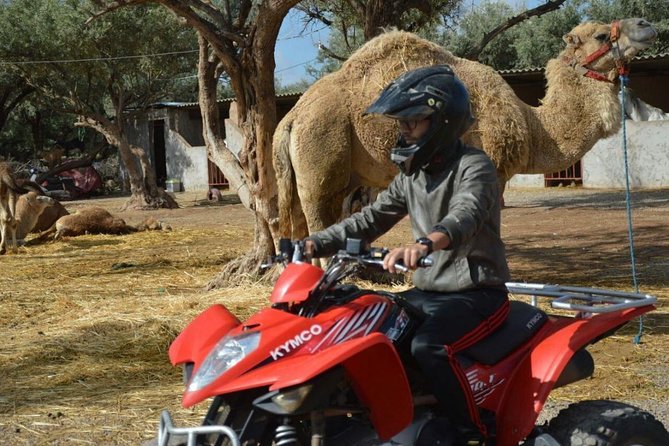 Marrakech Palmeraie Quad Bike Desert Adventure Inclusions And Logistics