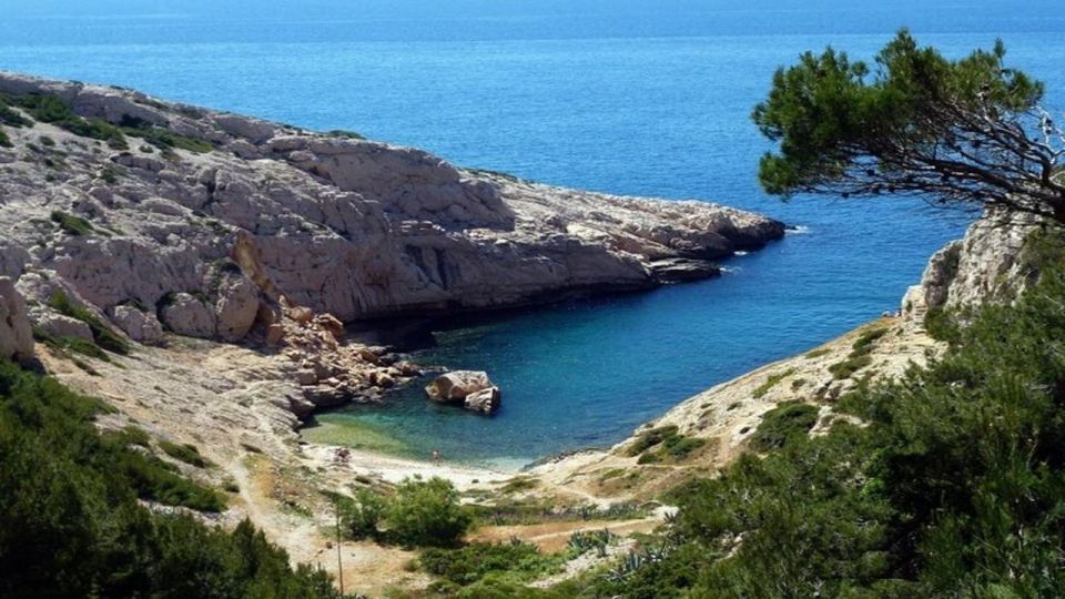 Marseille: Vieux-Port & Panier Walking Tour - Overview of the Walking Tour