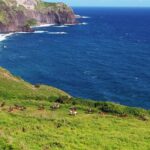 Maui Horseback Riding Tour Tour Overview