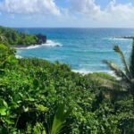 Maui Road To Hana Sightseeing Tour Tour Overview