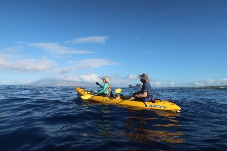 Maui: Turtle Town Kayak And Snorkel Tour Tour Overview