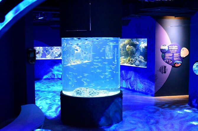 Mauritius Odysseo Oceanarium in Port Louis - Exhibits and Experiences