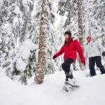 Medicine Trail Snowshoe Tour Overview Of The Tour