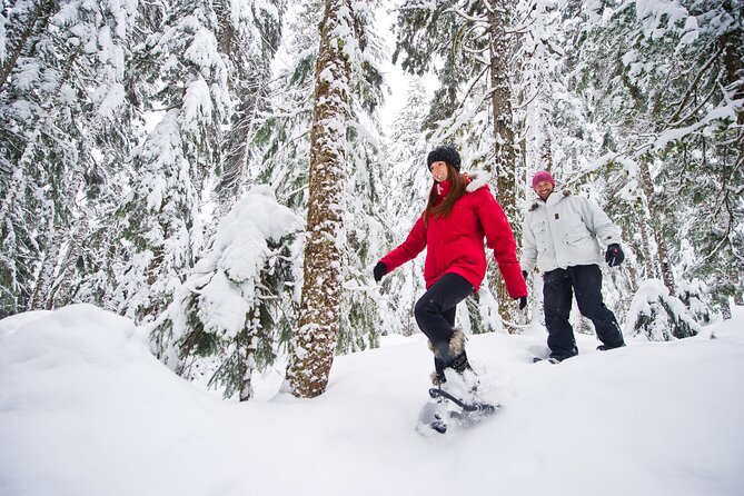 Medicine Trail Snowshoe Tour - Overview of the Tour