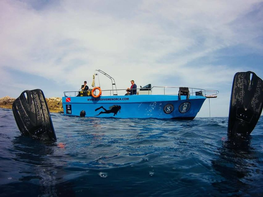 Menorca: Baptism Scuba Diving in Marine Reserve - Overview of the Activity