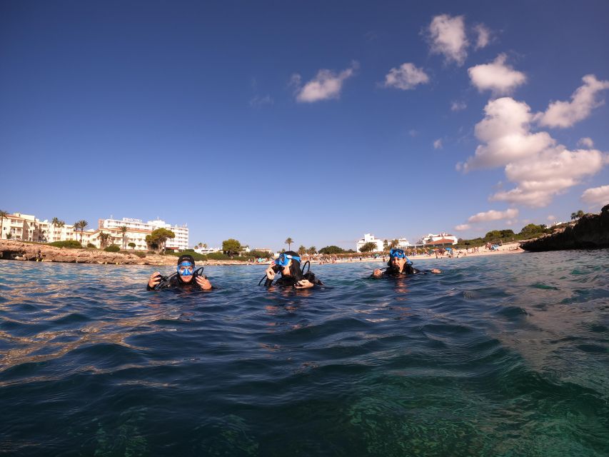 Menorca: Try Scuba Diving in Calan Bosch - Overview of Scuba Diving