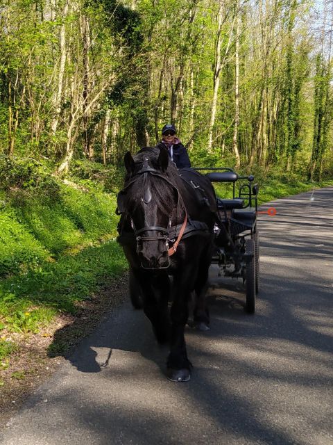 Mentheville: Horse-Drawn Carriage Ride in the Countryside - Exploring the Pays De Caux Countryside