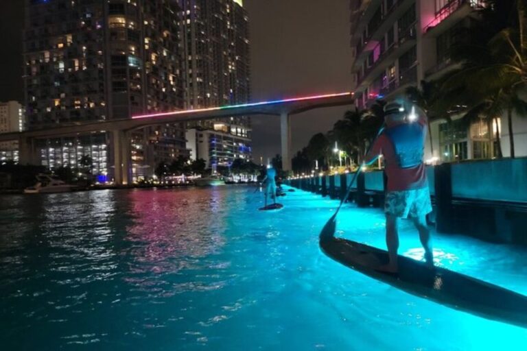 Miami: City Lights Sup Or Kayak Night Tour Tour Overview