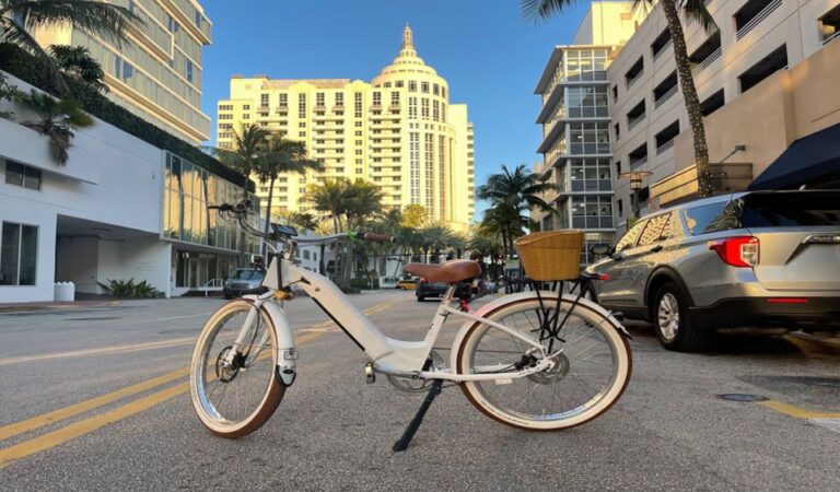 Miami: Electric Bike Rental Overview Of Electric Bike Rental