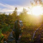 Midnight Sun Hike To The Shores Of Lake Inari Overview Of The Hike