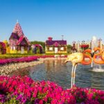 Miracle Garden In Dubai Entry Tickets Garden Highlights