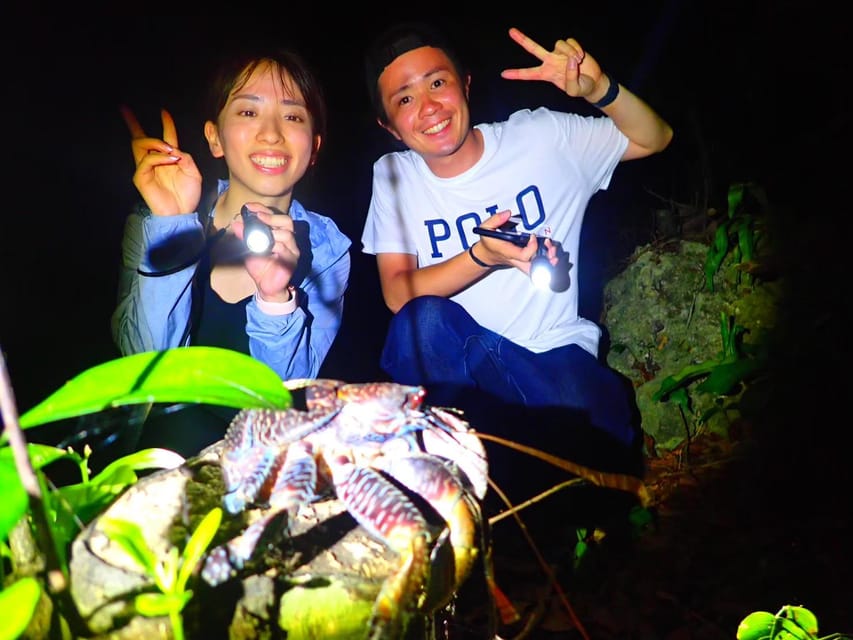 Miyako Island: Stars & Jungle Night Walking Tour - Tour Overview