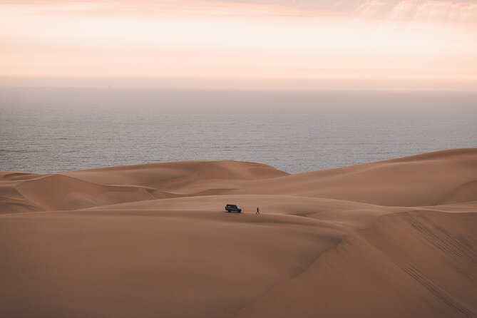 Mola Mola Marine Dune Experience - Exploring Walvis Bays Coastal Wonders