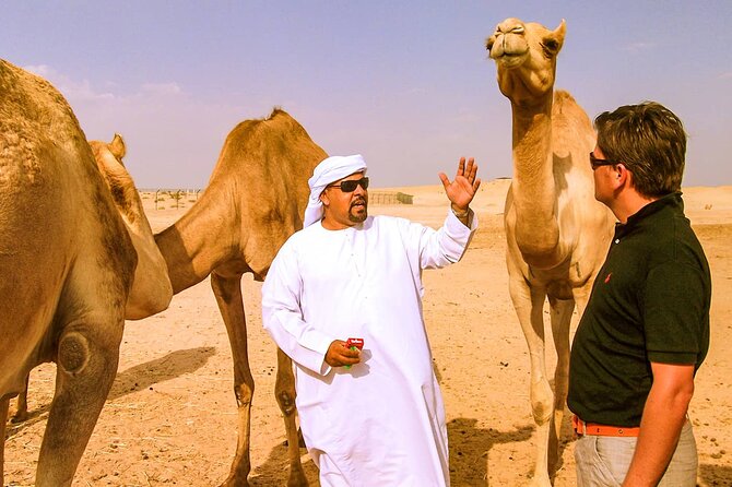 Morning Camel Safari Tour With Breakfast Tour Overview