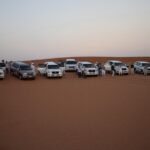 Morning Desert Safari With Camel Ride & Sand Boarding Dune Bashing Adventure