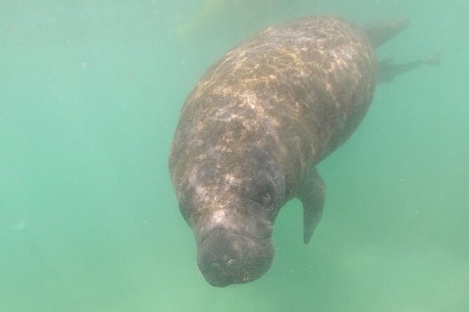 Morning Kayak Tour in Condado Lagoon - What to Expect