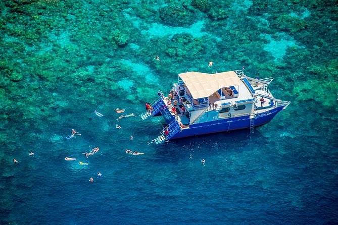 Morning Kealakekua Snorkel Tour - Snorkeling Experience at Kealakekua Bay