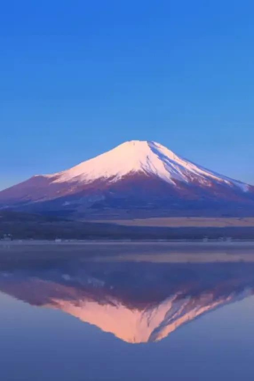 Mount Fuji and Hakone Day Tour With English Speaking Drivers - Tour Overview and Pricing