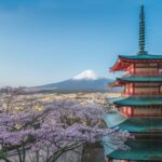 Mount Fuji And Hakone Full Day Private Tour Tour Overview