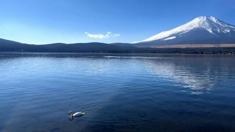 Mount Fuji And Hakone Private Tour English Speaking Driver Tour Overview And Pricing