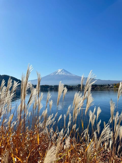 Mount Fuji Full Day Sightseeing Private Tour - Transportation and Accessibility