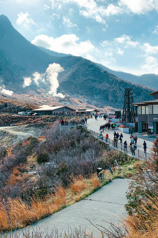 Mount Fuji, Hakone and Lake Ashi Cruise Day Trip - Overview of the Tour