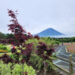 Mt. Fuji One Day Private Tour By Car With English Driver Tour Overview And Pricing