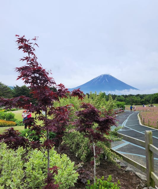 Mt. Fuji One Day Private Tour By Car With English Driver Tour Overview And Pricing