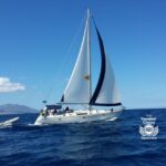 Mykonos: Yacht Cruise To Rhenia And Guided Tour Of Delos Tour Overview