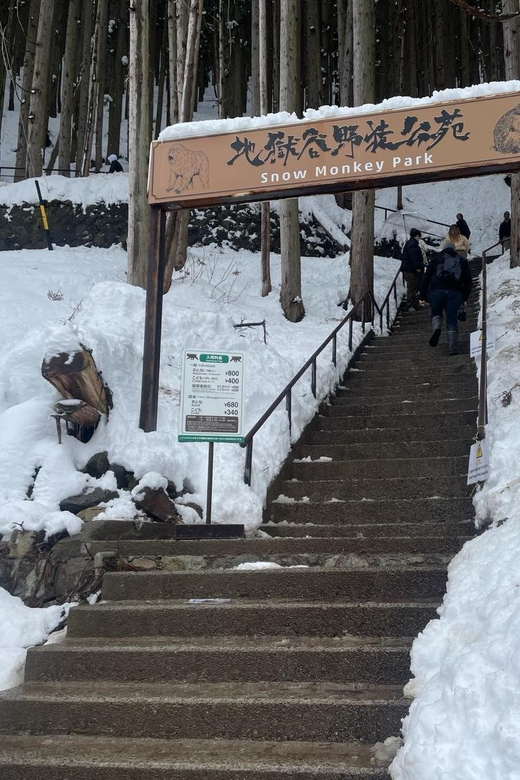 Nagano: Snow Monkey Park, Zenkoji One Day Private Tour - Tour Overview and Pricing