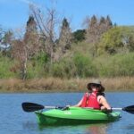 Napa Valley: Napa River Kayak Rental Activity Overview