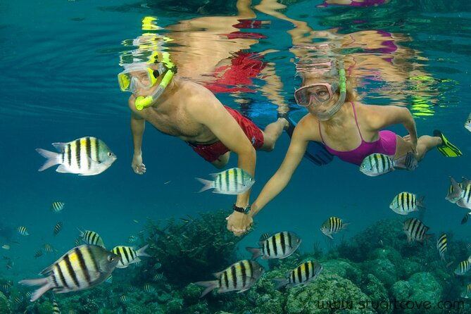 Nassau Shore Excursion: Bahamas Snorkel Adventure - Snorkeling Gear and Accessories Included