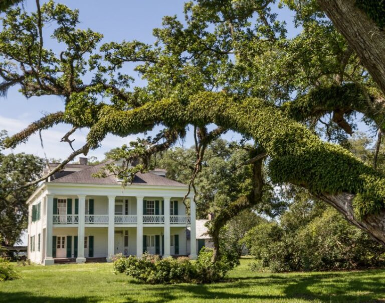 New Orleans: Felicity Plantation Guided Tour Overview And Pricing