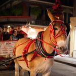 New Orleans Small Group Haunted History Carriage Tour Highlights Of The Experience