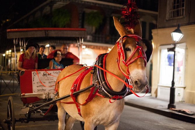 New Orleans Small-Group Haunted History Carriage Tour - Highlights of the Experience