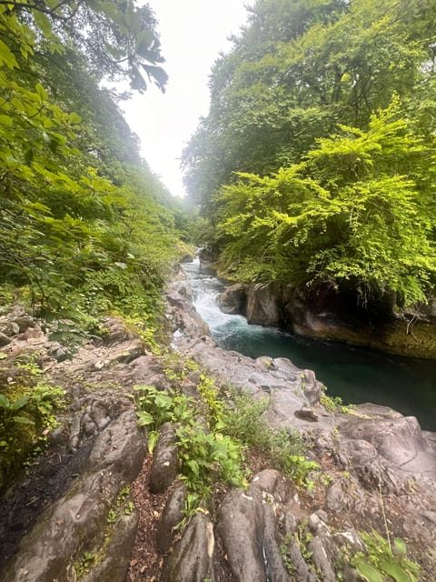 Nikko: Private Guided Tour by Car With English Guide - Tour Overview