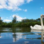 Norfolk Broads Canoe Camping Excursion Activity Details