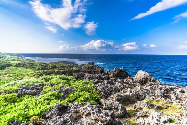 Northern Okinawa National Park Enjoyment Course Review Tour Overview