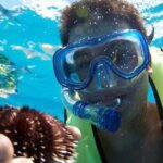 Oahu: Hilton Hawaiian Village Afternoon Snorkel Tour Detailed Activity Schedule