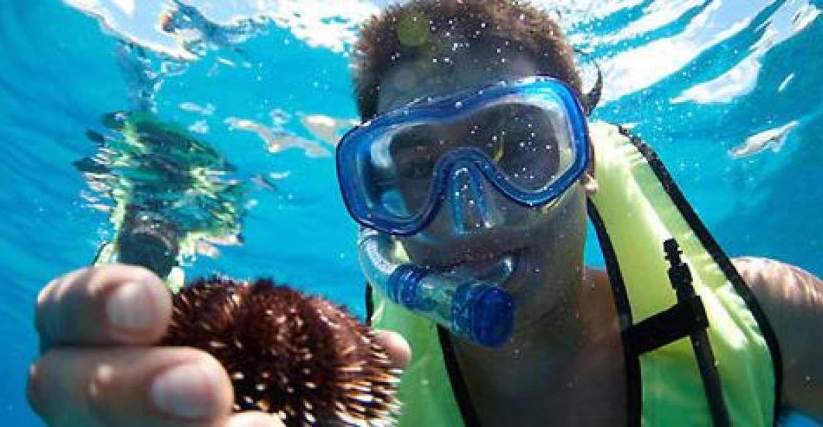 Oahu: Hilton Hawaiian Village Afternoon Snorkel Tour - Detailed Activity Schedule