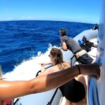 Oahu: Private Whale Watching Adventure Whale Watching Experience