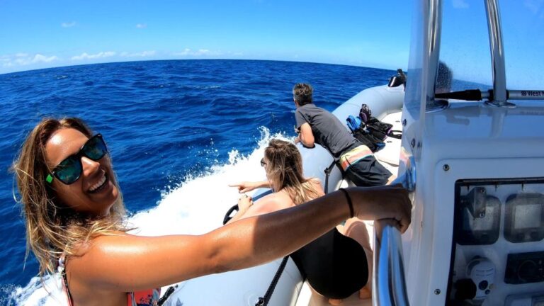 Oahu: Private Whale Watching Adventure Whale Watching Experience