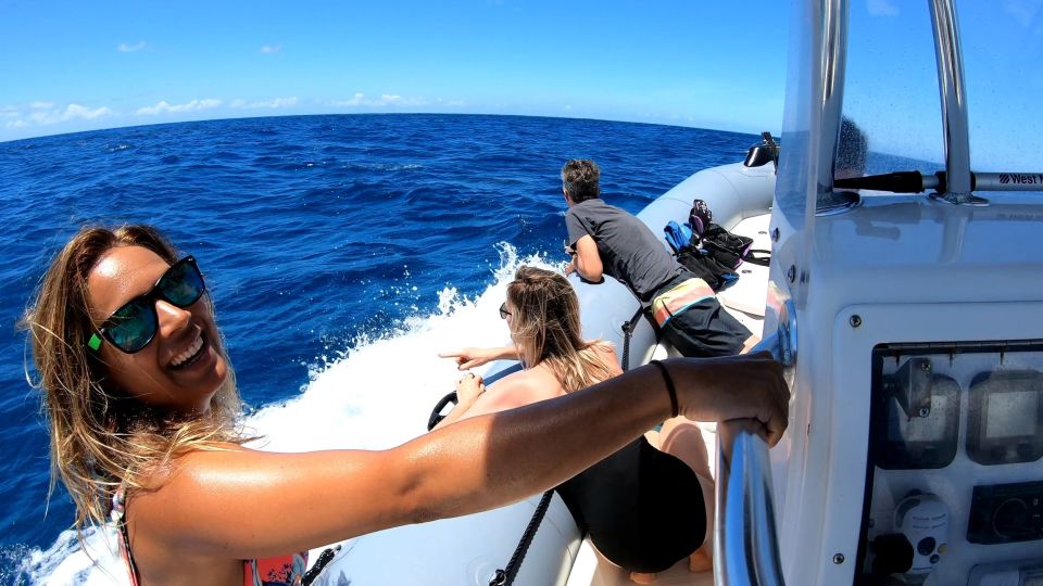 Oahu: Private Whale Watching Adventure - Whale Watching Experience