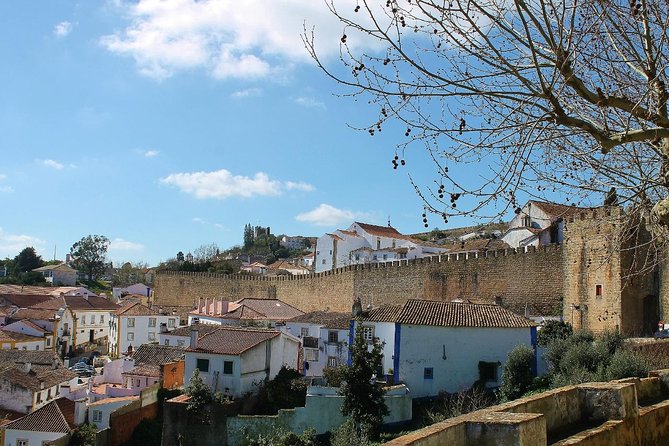 Óbidos Historic Village and Mafra Palace Private Tour - Tour Overview