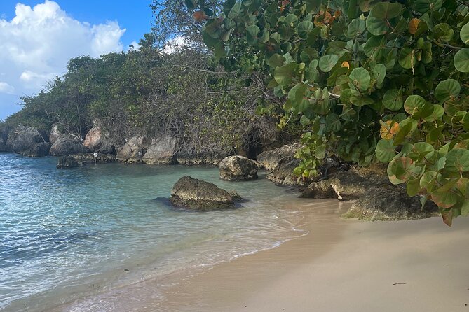 Ochi Rios Beach Day With Jerk Chicken Lunch - Pickup and Drop-off