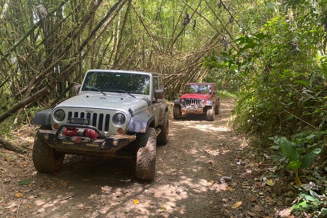 Off-Road Jeep Adventure From Carolina, Puerto Rico - Scenic Photo Opportunities