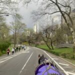 Official Exclusive Vip Horse Carriage Ride In Central Park Central Parks Iconic Landmarks